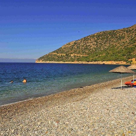 Melinda Pension & Restaurant Mesudiye  Exteriör bild