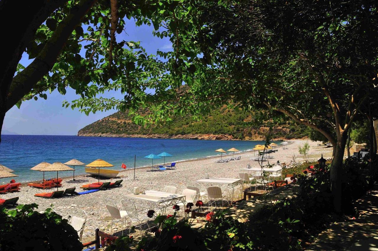 Melinda Pension & Restaurant Mesudiye  Exteriör bild